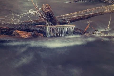 Icicles on the branch on the river Stock Photos