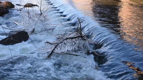 Icicles on the branches Stock Footage 146342510