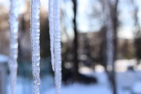 Icicles in the city close-up Stock Photos
