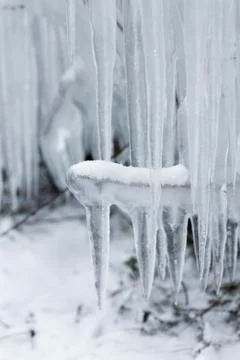 Icicles, close-up 库存照片