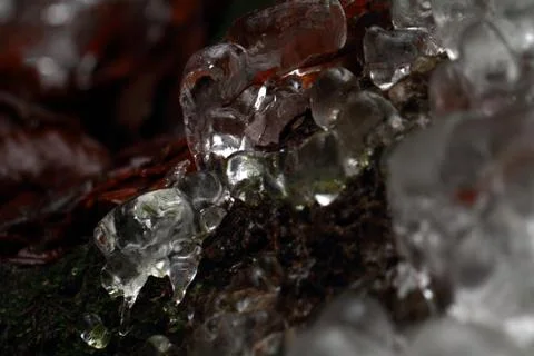 Icicles on dark background Foto stock