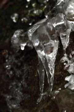 Icicles on dark background Stock Photos