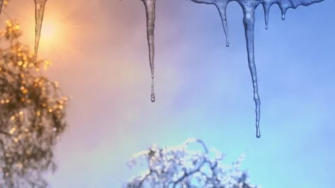 Icicles drip and melt in rays of spring sun. Stock Footage 260798726