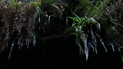 Icicles dripping  from cliff 1 140112 Video stock 10610157