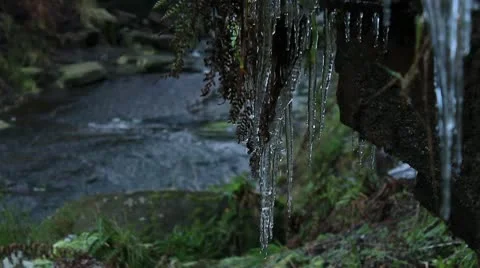 Icicles dripping  from cliff 2 140112 Video stock 10610218
