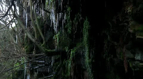 Icicles dripping  from cliff 4 140112 Video stock 10610259