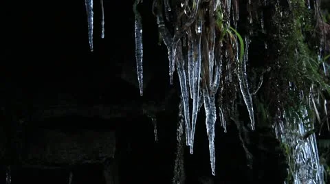 Icicles dripping  from cliff 5 140112 Video stock 10610284