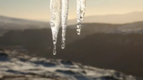 Icicles dripping close up Video stock 241518397