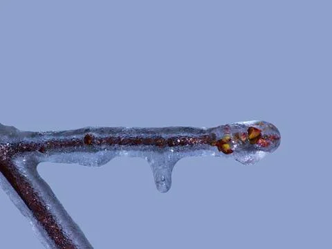 Icicles from first winter storm 스톡 사진