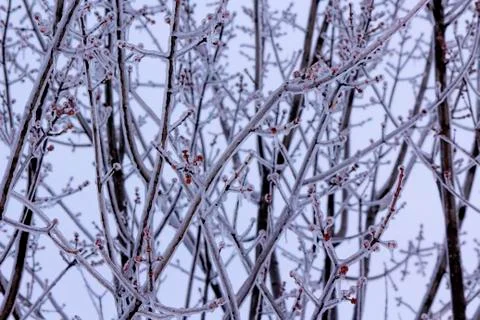 Icicles from first winter storm Stock Photos