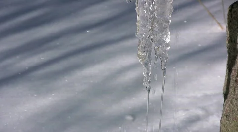 Icicles  스톡 동영상 331511