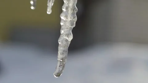 Icicles Stock Footage 87557313