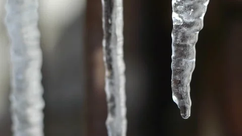 Icicles Stock Footage 87558912