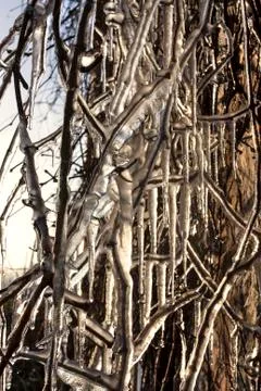 Icicles formations Stock Photos