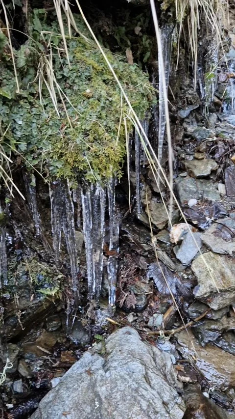 Icicles Forming Above a Fresh Mountain Stream in Winter Video stock 309300463