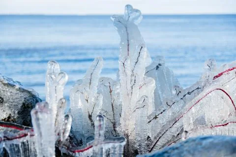 Icicles forming on tree limbs Stock Photos