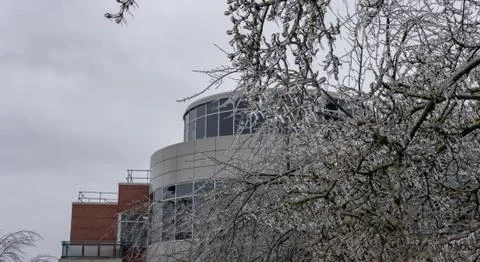 Icicles of freezing rain on tree brenches with office building on the back. Foto stock
