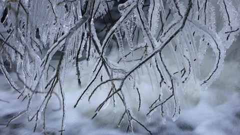 Icicles Hanging from Branches Next to a Waterfall, UK Video stock 227888308