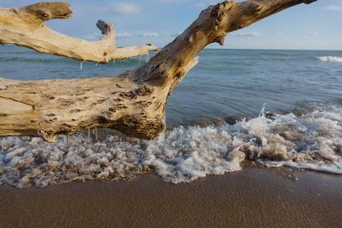 Icicles Hanging Off Of A Log Washed Up On The Beach 스톡 사진
