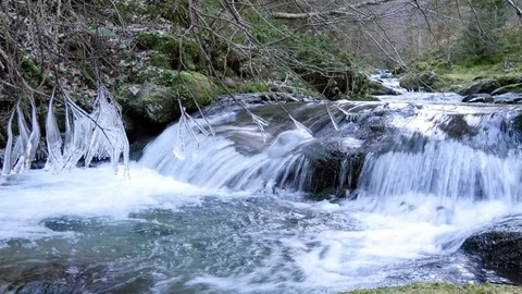 Icicles Hanging Over The Mountain Stream Flow Video stock 70356186