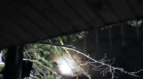 Icicles hanging from the roof in the forest Stock Footage 59556470