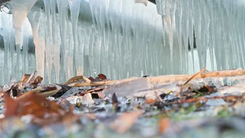 Icicles Hanging Under Leaves by icy lake Balaton shore Video stock 326321461