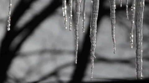 Icicles ice melt Video stock 1183488