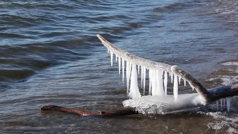 Icicles on a log are washed by waves in a freezing pond Stock Footage 82633324