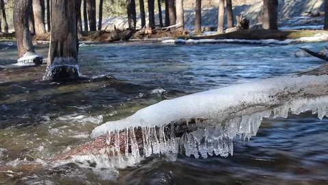 Icicles on a log in quickly current stream of the river Stock Footage 73561811