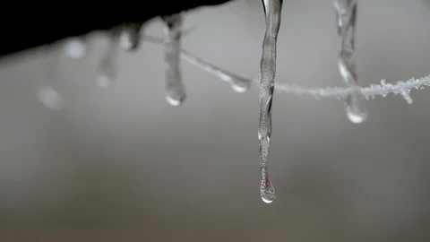 Icicles with a long wait between droplets of water Stock Footage 102410429