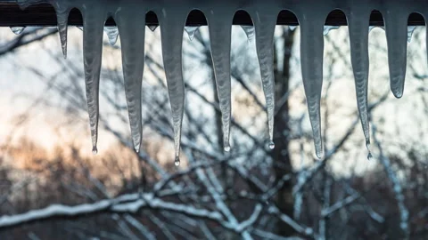 Icicles melt against the backdrop of the sunset and forest. Stock Footage 150420253