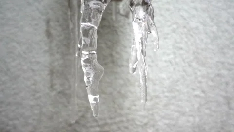 Icicles melt and drip in slow motion. Stock Footage 164380709