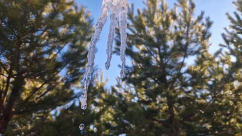 As icicles melt heralding imminent arrival of spring witness nature's transition Stock Footage 266114931