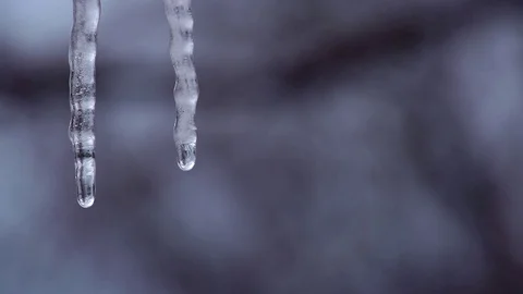 Icicles melting during a spring thaw Stock Footage 93781862