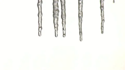 Icicles melting Stock Footage 10816982