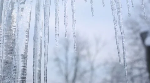 Icicles Melting Stock Footage 41434744