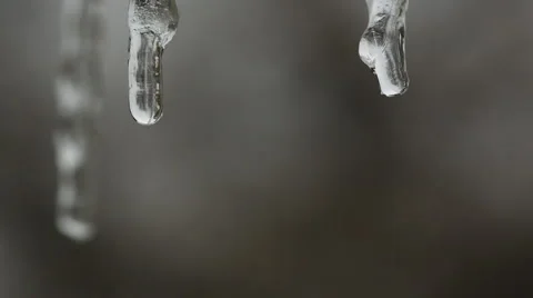 Icicles melting Stock Footage 60792653