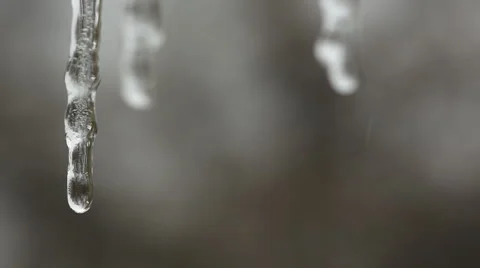 Icicles melting Stock Footage 60792711