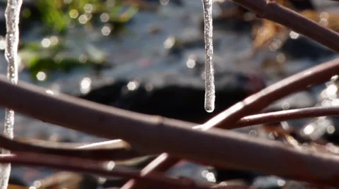 Icicles Melting Near a Stream Stock Footage 35517002