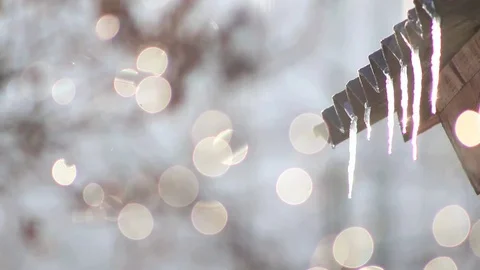 Icicles melting spring bokeh Video stock 74248938