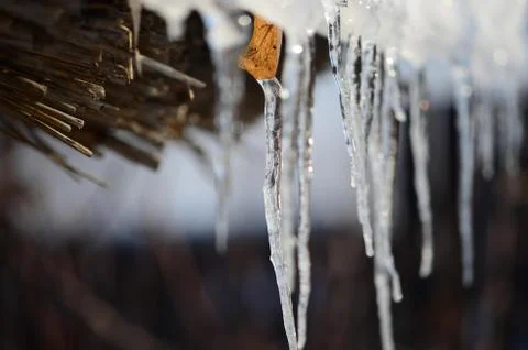 Icicles melting on sun in spring Stock Photos