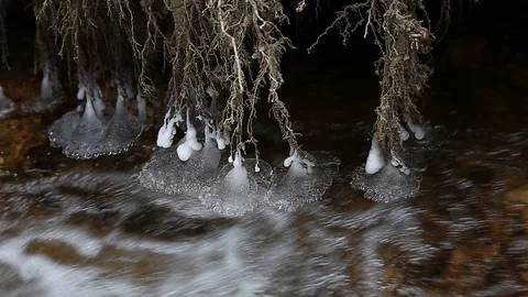 Icicles in motion Stock Footage 99444988