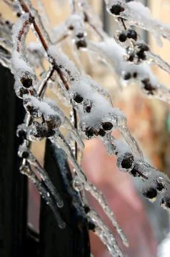 Icicles Stock Photos