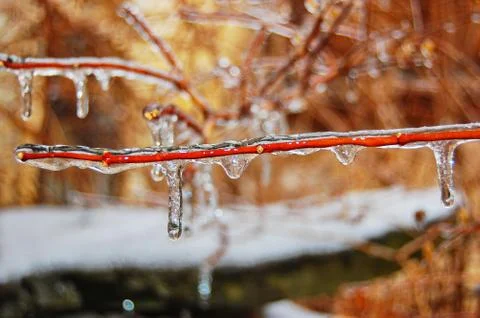 Icicles Stock Photos