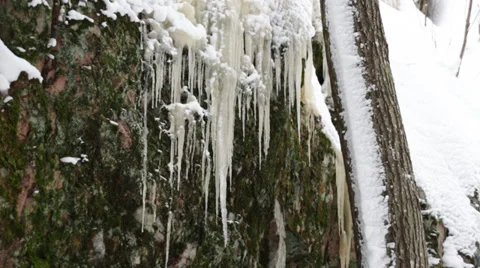 Icicles on rock face Stock Footage 34428380