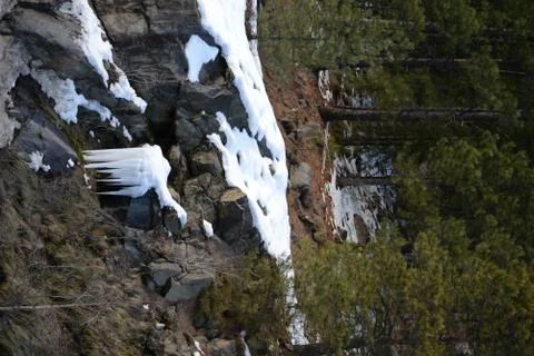 Icicles Rock Pine Trees Snow Stock Photos