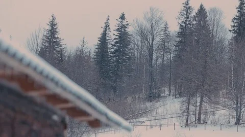 Icicles on the roof 動画素材 72408713