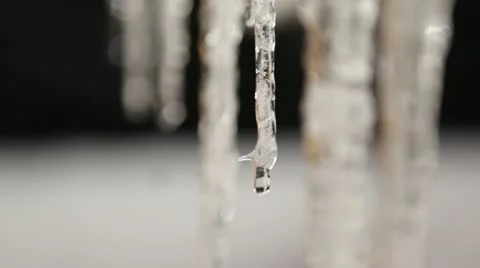 Icicles Slowly Drip Close-up Stock Footage 12654899