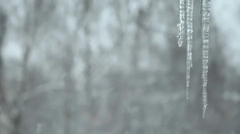Icicles on a snow background Vídeo Stock 47579829
