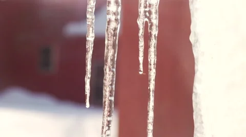 Icicles with Snow Gently Falling in Background Video stock 47095467